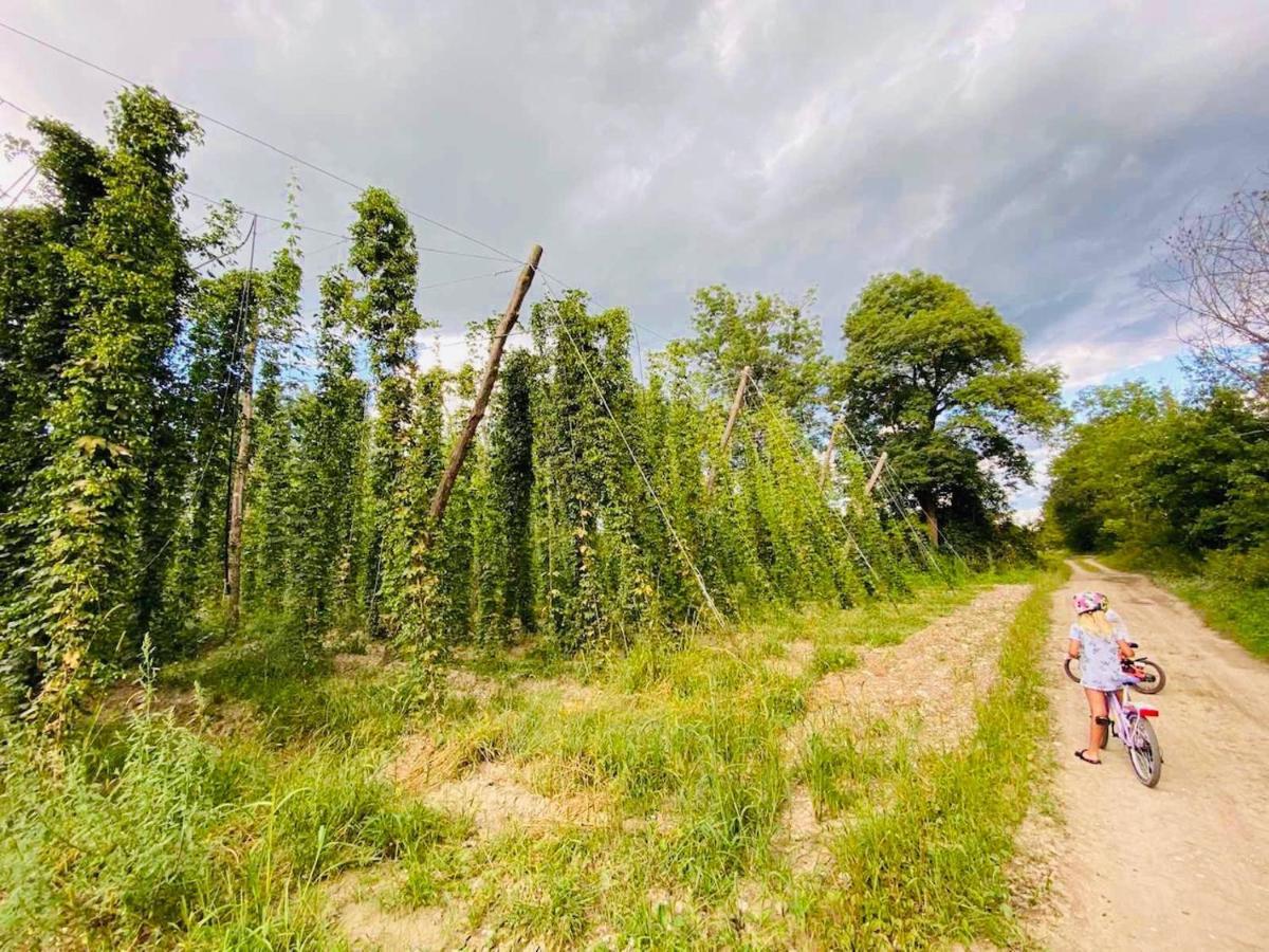 Greenvalleyglamping Sesce Pri Preboldu Eksteriør bilde